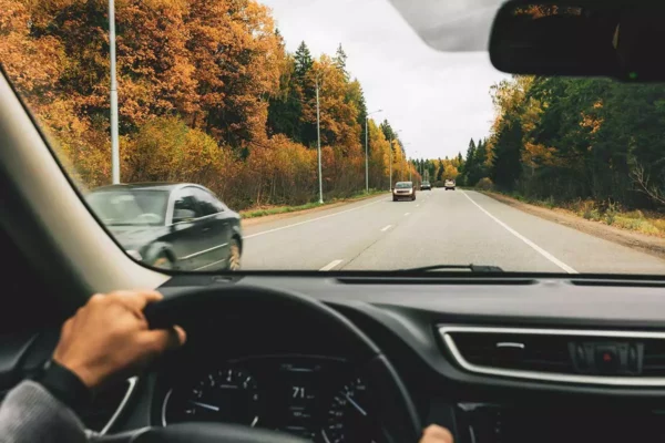 Permiso coche San Pedro Alcantara
